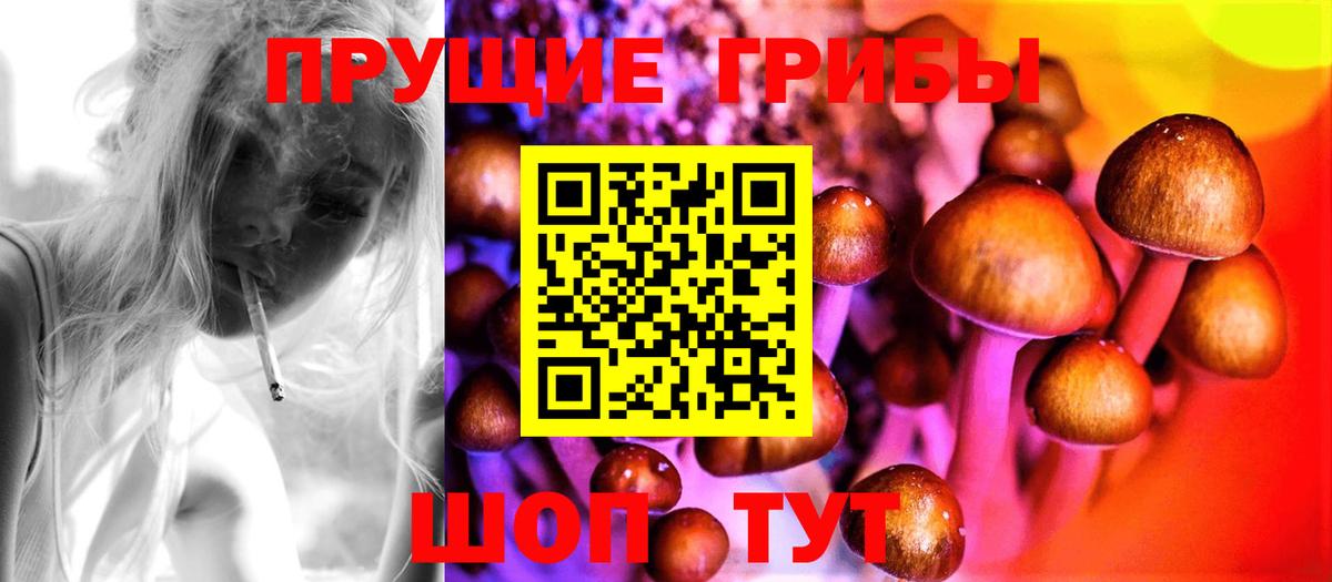 Псилоцибиновые грибы Psilocybine cubensis Заволжье