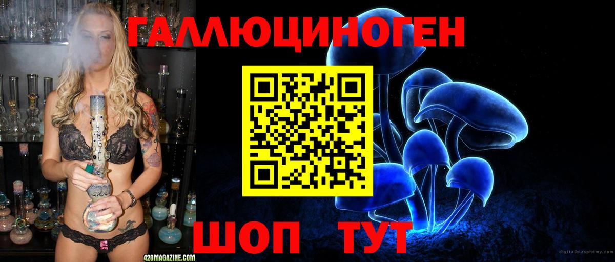 даркнет сайт  Псилоцибиновые грибы Psilocybine cubensis  Вход с VPN  Заволжье 