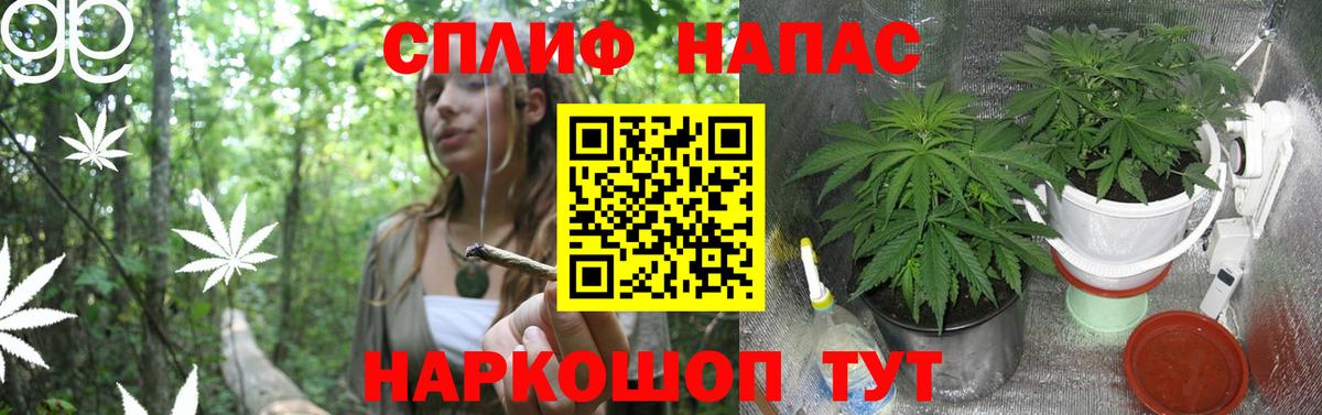 Конопля ГИДРОПОН Заволжье
